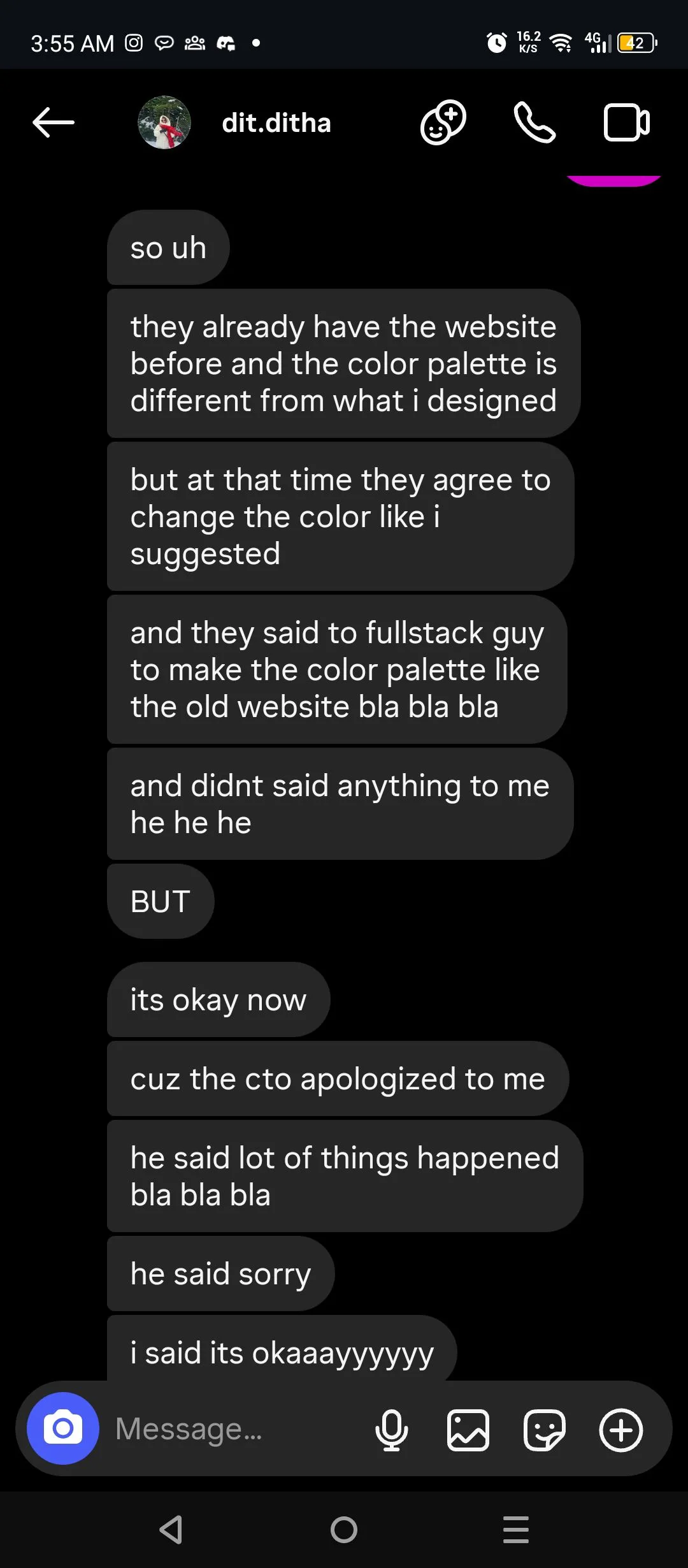 Instagram DMs where the CTO personally apologizes after Ditha's color palette was changed by a fullstack developer